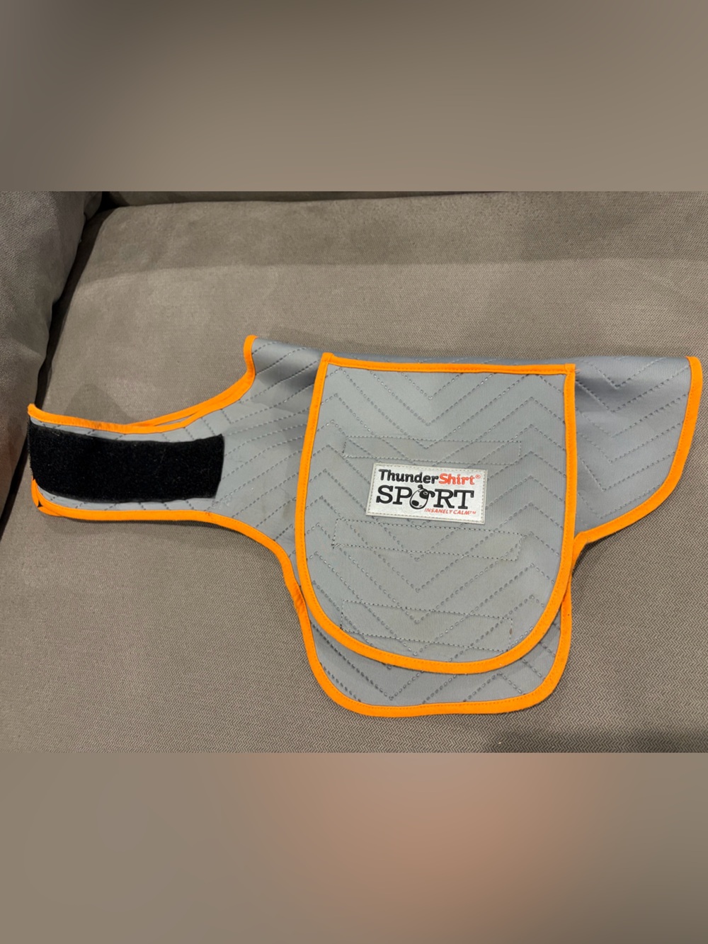 Thundershirt for dogs